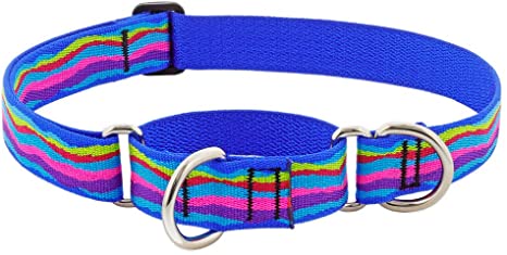 5/8", 1" and 1.5" Martingale Double Loop Style Collars (Solid Collars and Patterns)