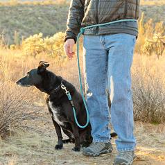 Lead/Leash: Versatile Mountain Rope Leash, Dogs 35 lbs and Larger