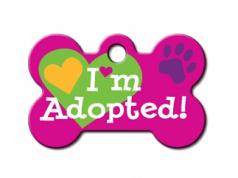 Engraved ID Tag:  Small Bone Shape I'm Adopted Pink