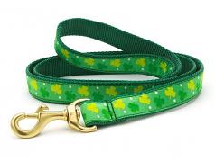 Dog Collars: 5/8" or 1" Wide Shamrock Leash