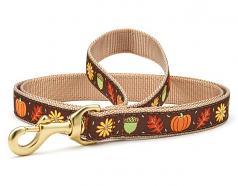 Dog Collars: 5/8" or 1" Wide Holiday Harvest Time Leash