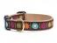 Dog Collars: 5/8" or 1" or 1.5" Width- Bella Floral Clip Collar and/or Leash