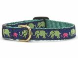 Dog Collars: 5/8" or 1" Wide Leader of the Pach Collar