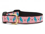 Dog Collars: 5/8" or 1" Wide Seahorse Clip Collar