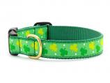 Dog Collars: 5/8" or 1" Wide Shamrocks Clip Collar